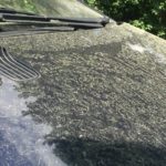 Pollenflug: So schützen Sie Ihr Auto vor Blütenstaub