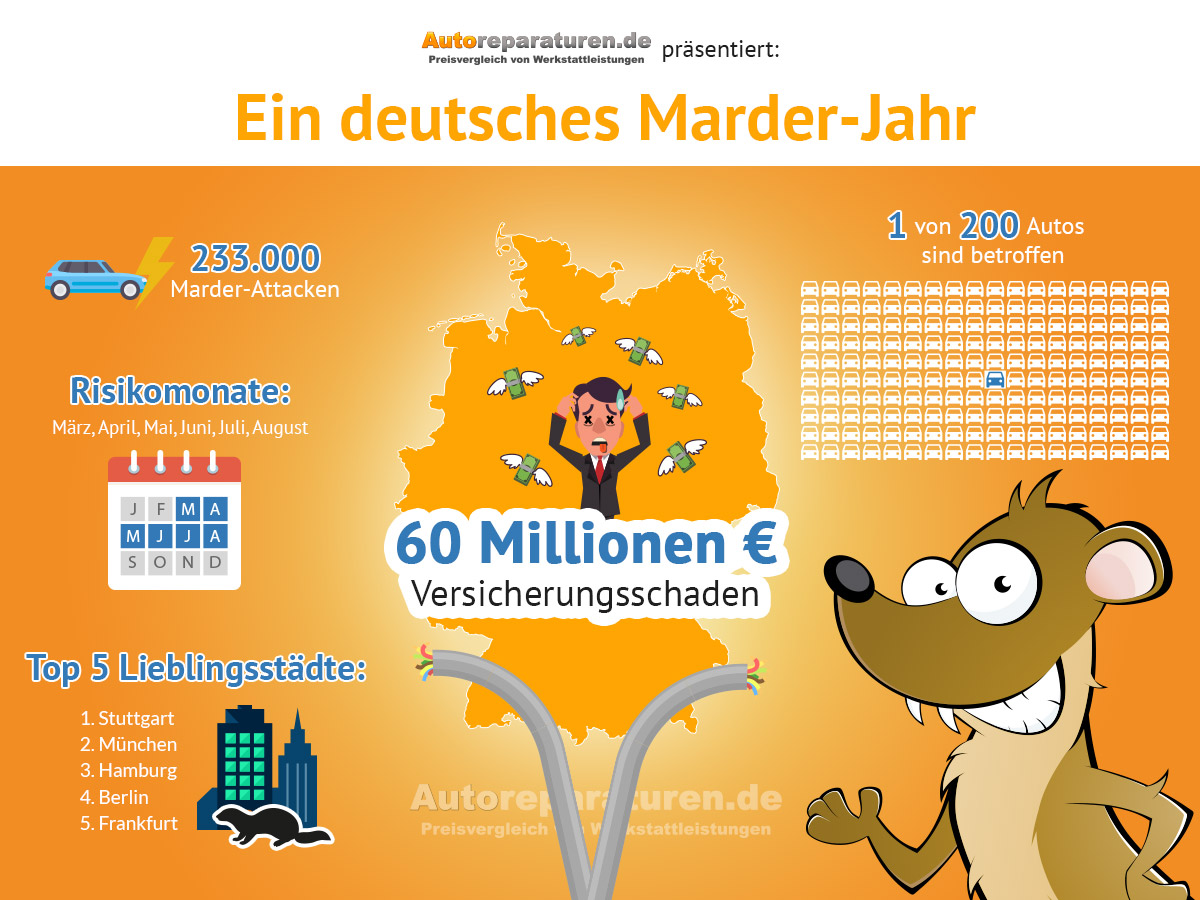 Infografik: Marder und Auto in Deutschland