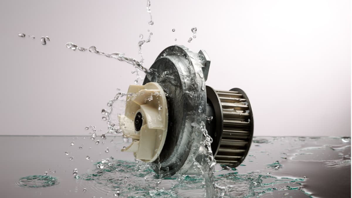 Verwunderlich Wasserpumpe Kosten Auto Fotos