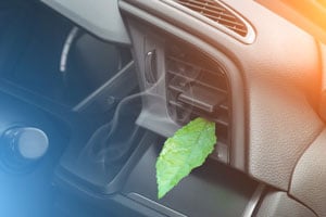 Prävention gegen Geruchsbildung in der Klimaanlage | autoreparaturen.de