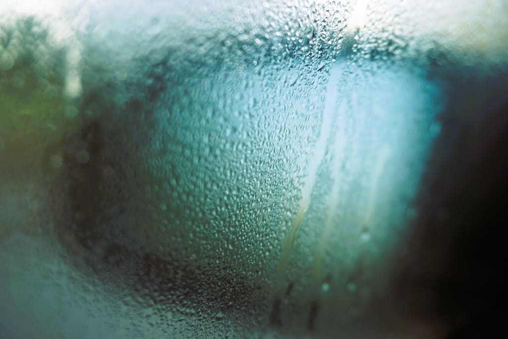 Scheiben beschlagen im Herbst? Feuchtigkeit auf der Innenseite der Scheibe bei kalten Temperaturen